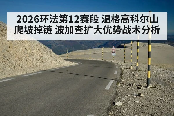 2026环法第12赛段 温格高科尔山爬坡掉链 波加查扩大优势战术分析