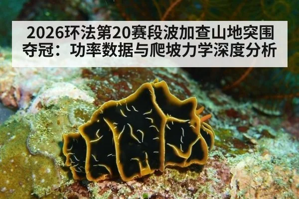 2026环法第20赛段波加查山地突围夺冠:功率数据与爬坡力学深度分析
