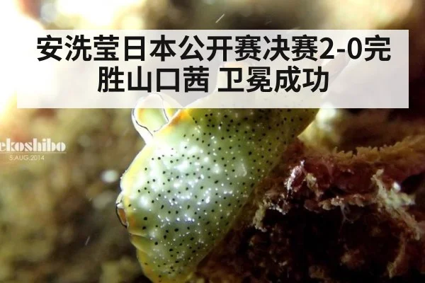 安洗莹日本公开赛决赛2-0完胜山口茜 卫冕成功